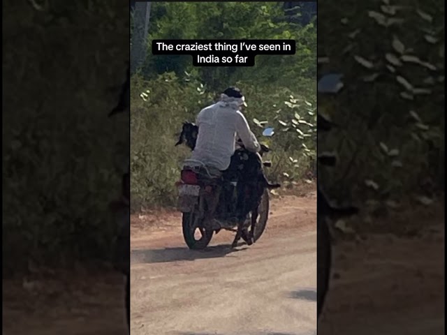 India is not for beginners 🤣 #incredibleindia #crazyindia #india