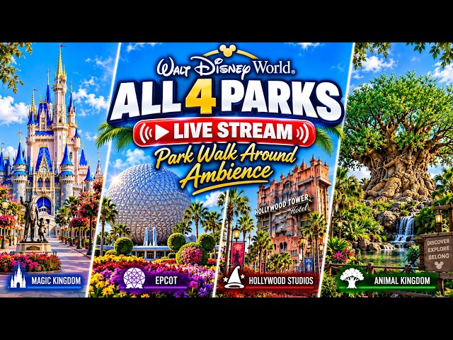 🔴Live: Walt Disney World Relaxing Views & Ambience 24 Hour LIVE Stream