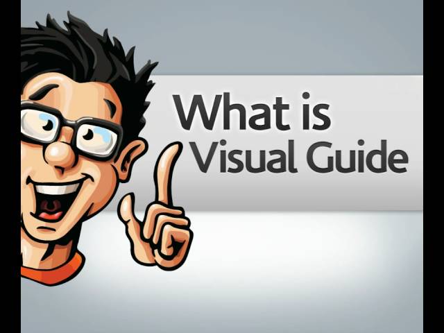 What is Visual Guide
