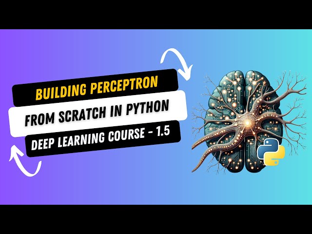 DL 1.5. Building Perceptron from scratch in Python | Deep Learning Course