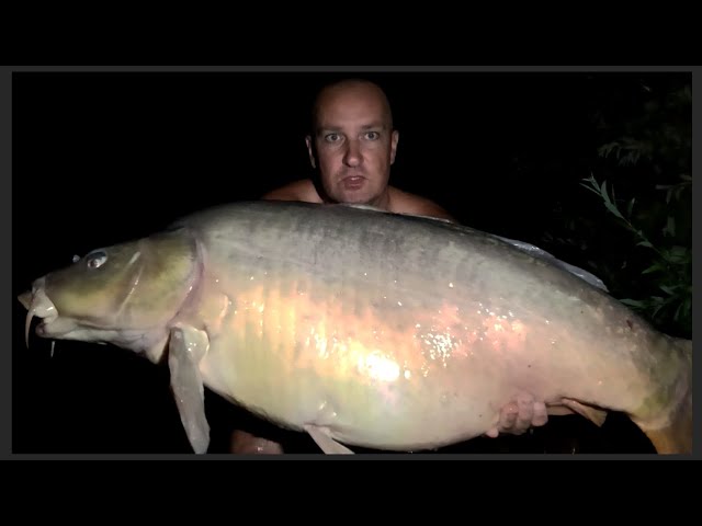 24.6kg, off to a strong start.