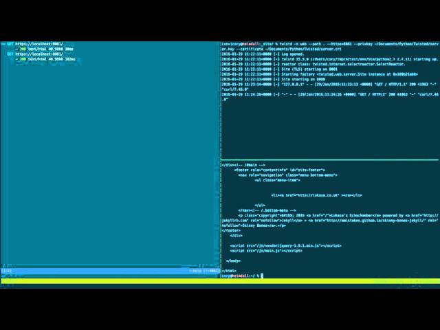 Demonstration of Python HTTP/2 using Hyper-h2 with Twisted and mitmproxy.