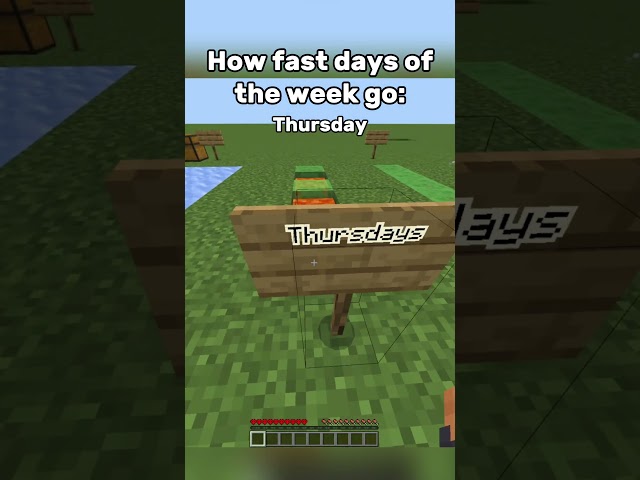 How FAST days of the week go #minecraft #gaming #funny