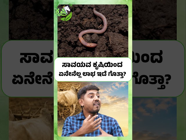 ಸಾವಯವ ಕೃಷಿಯಿಂದ ಏನೇನೆಲ್ಲ ಲಾಭ ಇದೆ ಗೊತ್ತಾ| Benefits Of Organic Farming