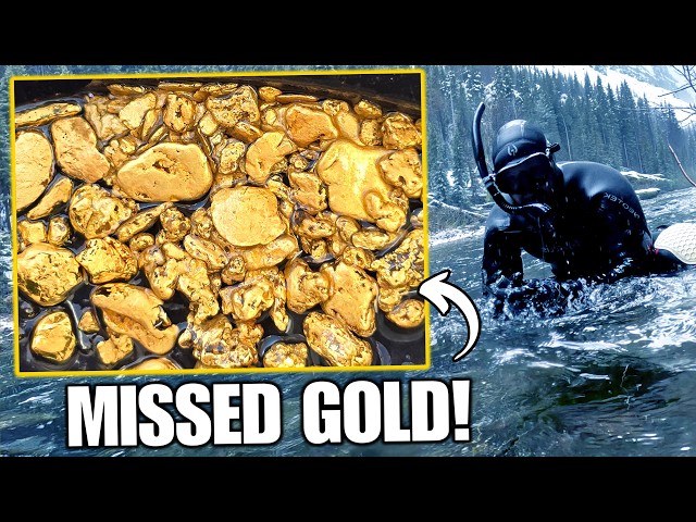 The GOLD RUSH Forgot To Check Here!