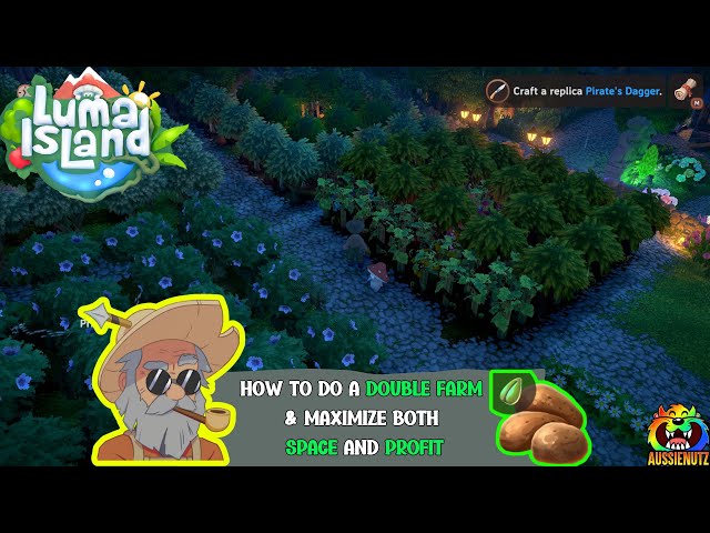 Double Farm setup to maximize space and profit #lumaisland