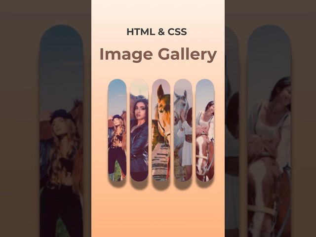 Accordion using HTML CSS