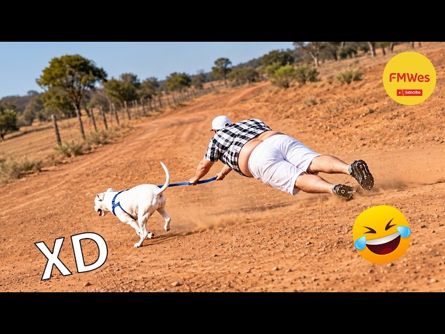 VIDEOS DE RISA 🤣 SI TE RÍES PIERDES NIVEL DIOS #868 😎 HUMOR VIRAL MEXICANO🤣