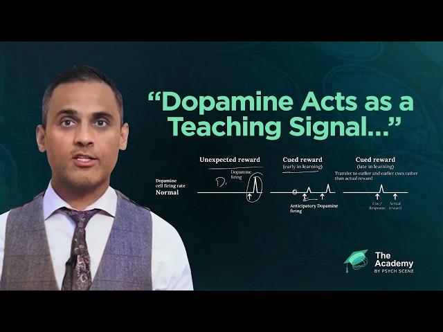 How Maladaptive Learning ‘Drives’ Psychosis and Addiction