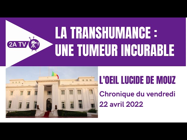 L'oeil de Mouz : la transhumance, une tumeur incurable