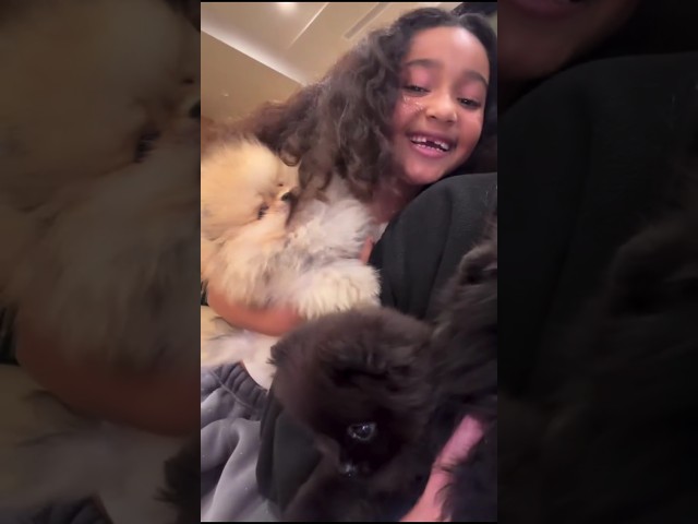 Kim Kardashian and her children play with puppies