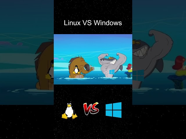 Windows VS Linux #linux #windows