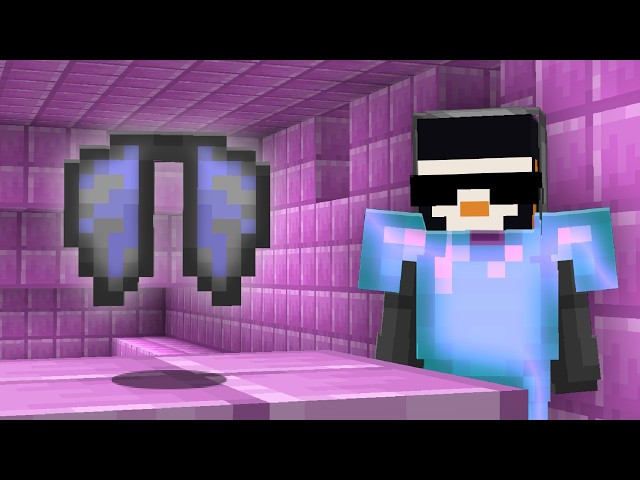 Getting the ELYTRA on the Lifesteal SMP