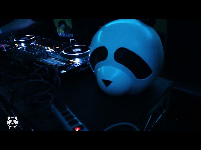 Jose the Panda | Los Globos |
