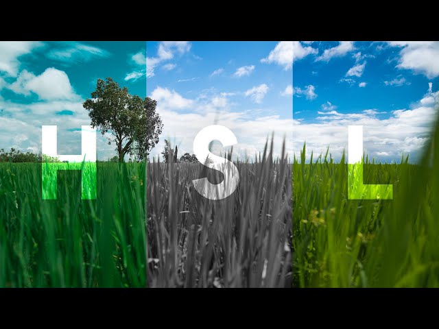 HSL Panel Explained: Best TOOL for COLOR GRADING!