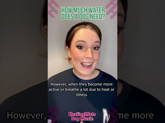 🐶💖How Much Water Does a Dog Need?🐶💖