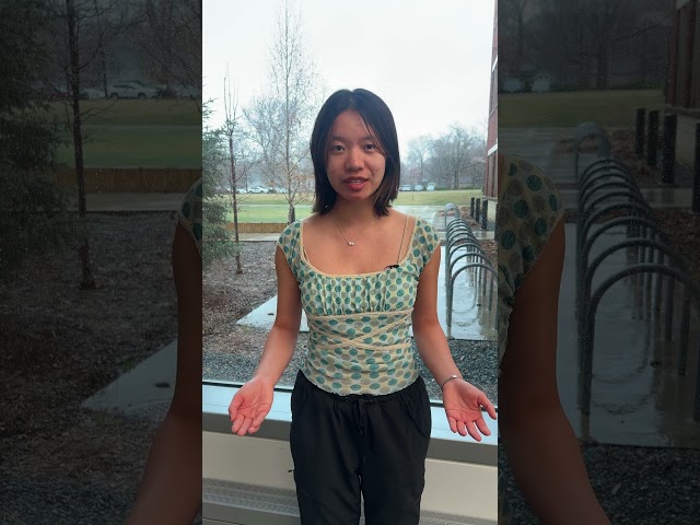 Alternative Spring Break 2026 at Wolf Ridge | Carleton College