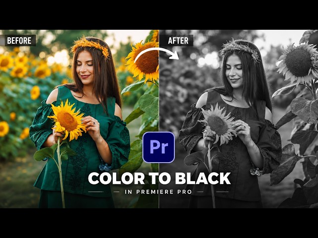 How to Create a Grayscale Effect in Premiere Pro 2026 | Professional Black & White Effect