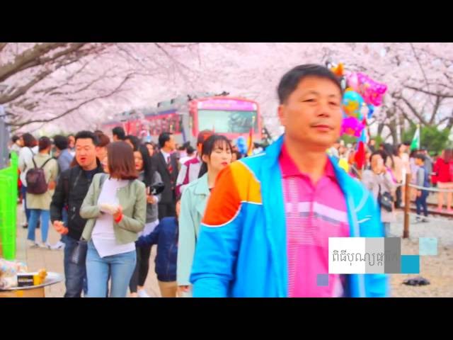 spring  in Korea