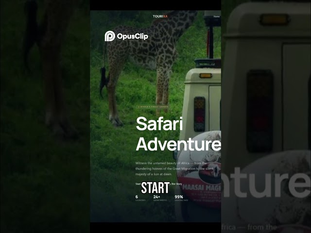 Coding Safari Adventures  From Grids to Wildlife Wonders! #viralshort #viralvideo #html #css