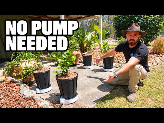 These AirPots Water My Plants for Me