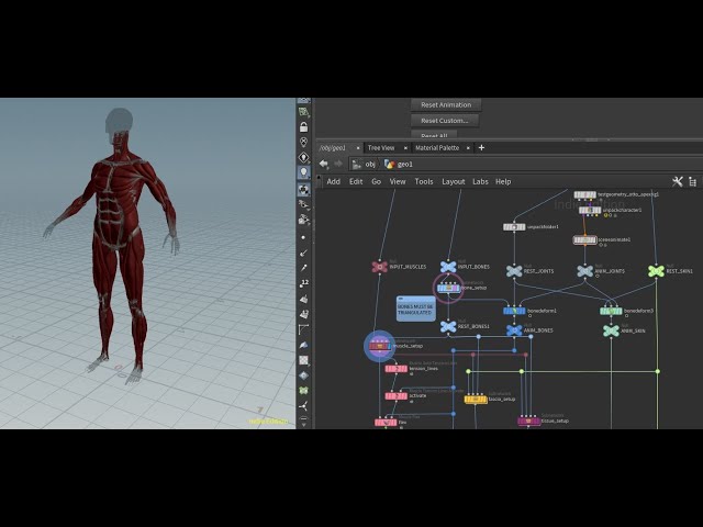 How to Very Quickly Create a Full Skeletal and Muscle System for Your Character