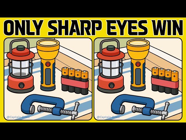 Tricky Spot the Difference Puzzles for Adults (A Bit Tricky)