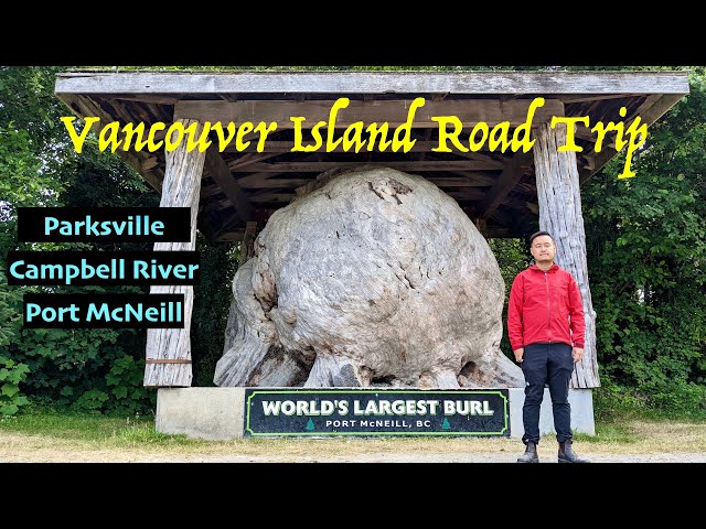 Northern Vancouver Island Road Trip: Exploring Parksville, Campbell River, and Port McNeill [Ep.27]