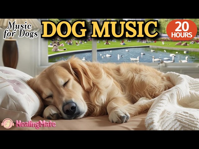 20 HOURS of Dog Calming Music🐶🎵Dog Separation Anxiety Stress Relief Music🐶💖Deep Sleep Music for Dogs