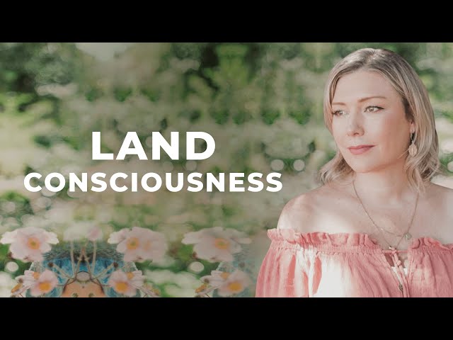 Plant Consciousness Explained – The Hidden Intelligence of Nature