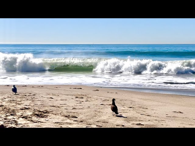 Ocean Sounds for Study Focus Relaxation Deep Sleep.Relaxing Surfing White Noise 3.5Hours  WavesSound