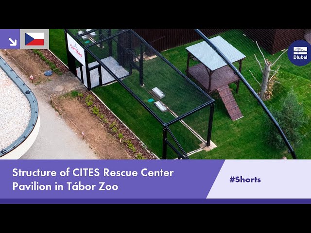[CS] Structure of CITES Rescue Center Pavilion in Tábor Zoo #Shorts