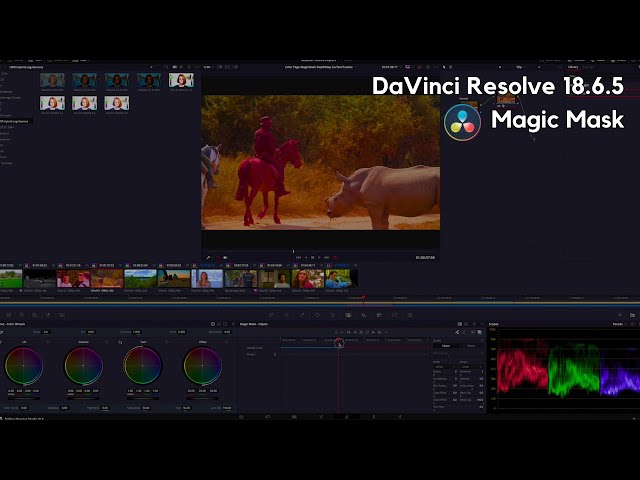 DaVinci Resolve Magic Mask