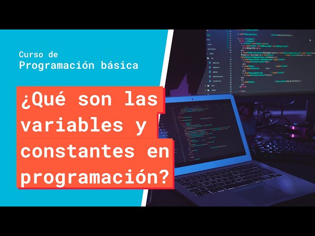 What Are Variables and Constants in Programming? | Basic Programming Course