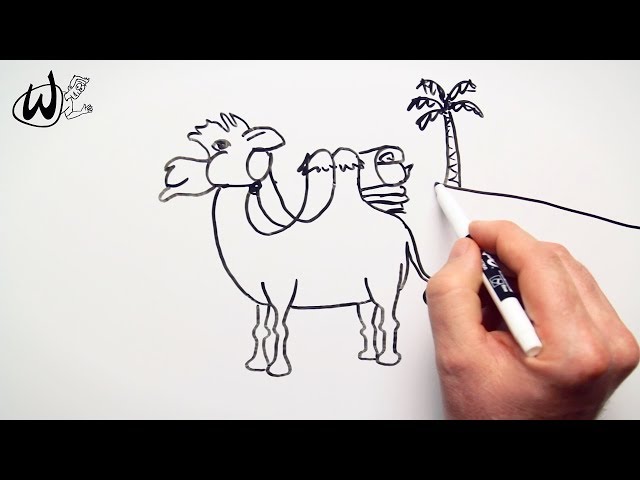 How to Draw a Desert Camel - Drawing Doodle Words to Cartoon