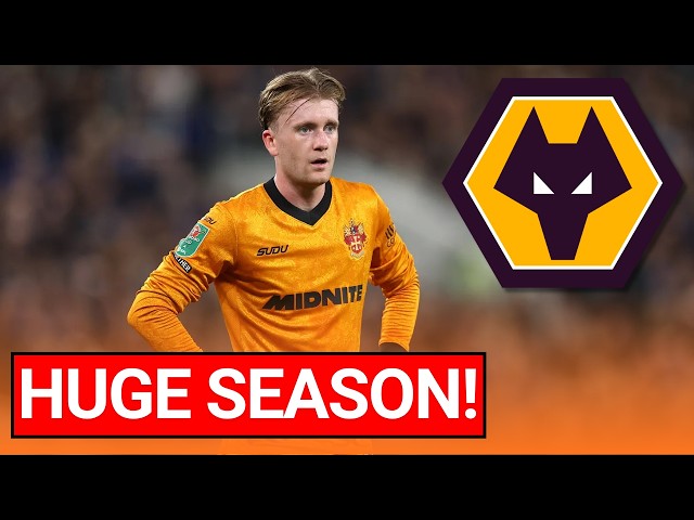 WHY WOLVES NEED TOMMY DOYLE  👀 | My thoughts and opinions