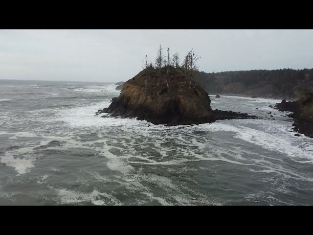 Scenes from the beautiful Humboldt County Area