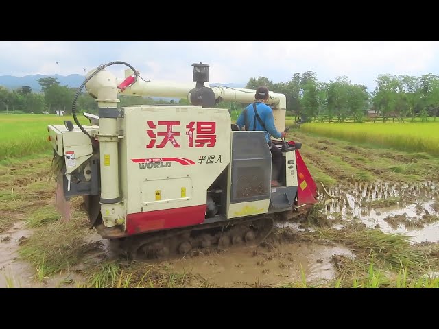 KOMBI SAWAH CANGGIH SPESIALIS LAHAN DANGKAL