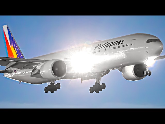 NONSTOP LANDINGS & TAKEOFFS ✈️ Los Angeles Airport Plane Watching 🇺🇸
