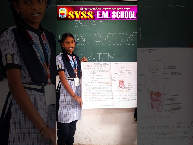 Human Digestive system explanation by students #svsss