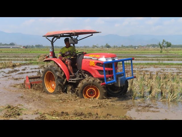 Traktor Yanmar EF393T operatornya Mas Ladi