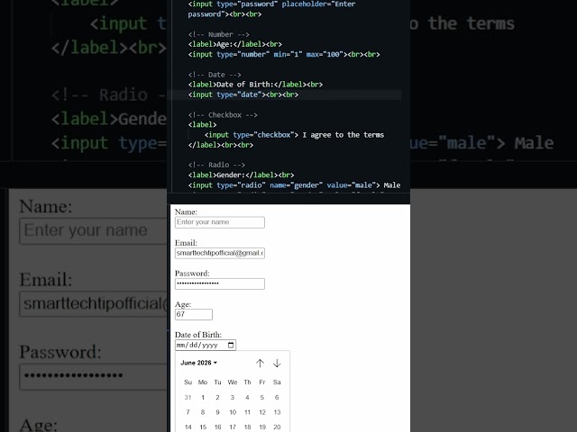 HTML #10 – Input Types Explained
