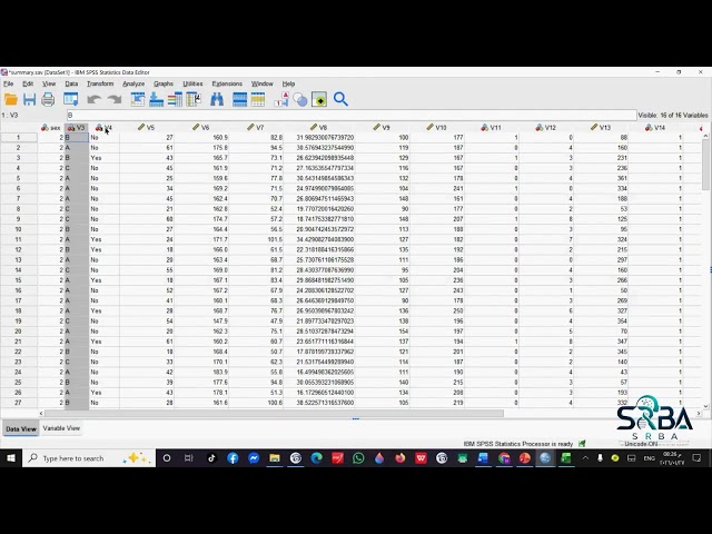 Understanding Data View & Variable View