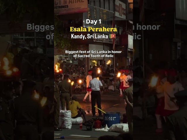 Don’t miss Esala Perahera in Kandy | Biggest fest 😄