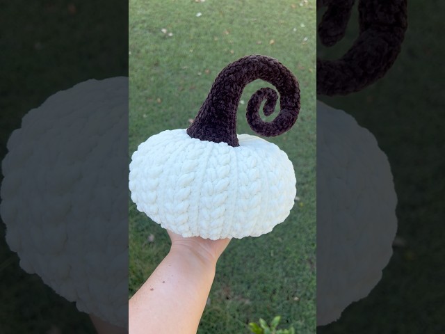 Crocheted Pumpkin with Wheat Stitch & Swirled Stem | Fall Decor Now in My Etsy Shop 🎃🍂
