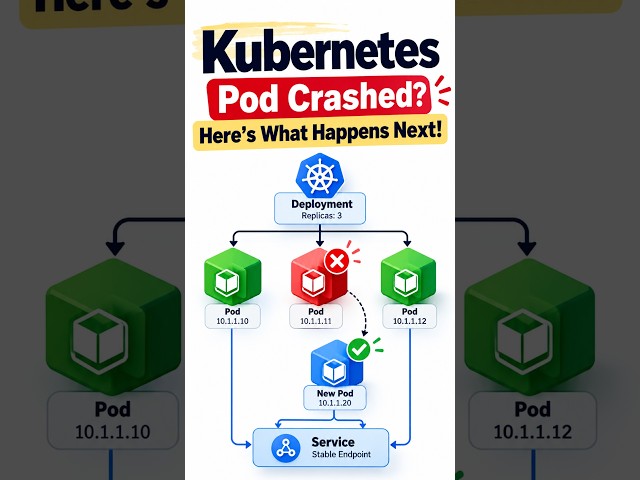 Kubernetes Pod Crashed? Here's What Happens Next!