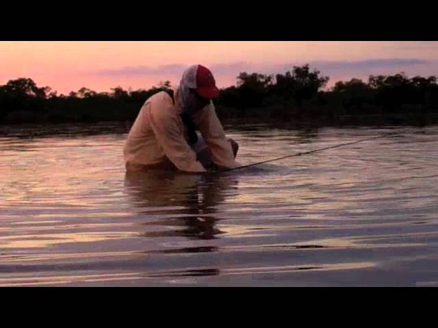 Paddle Bonin'