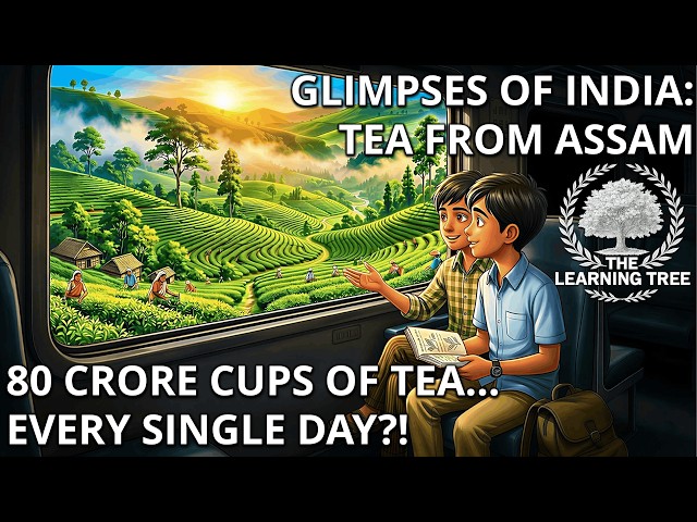 Glimpses of India Tea from Assam Class 10 | Summary, Explanation, One Shot | First Flight Chapter 7