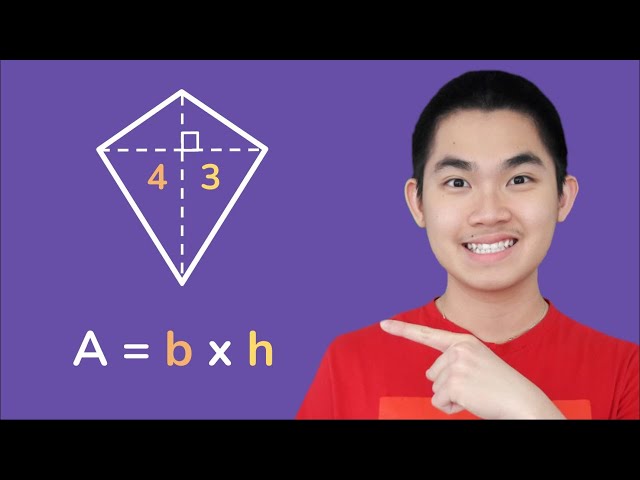 Find the Perimeter and the Area of Kites