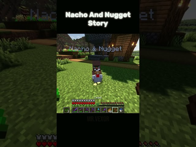 A sad story about a Villager and the chicken #minecraft